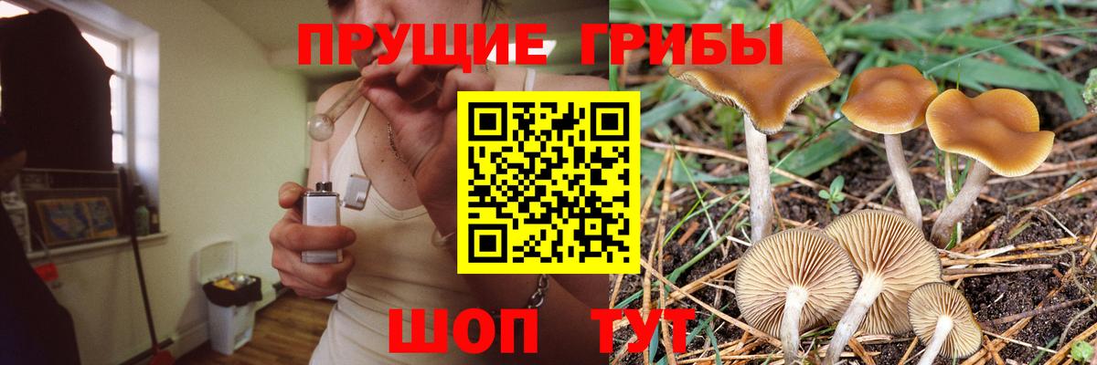 Галлюциногенные грибы мухоморы Магадан